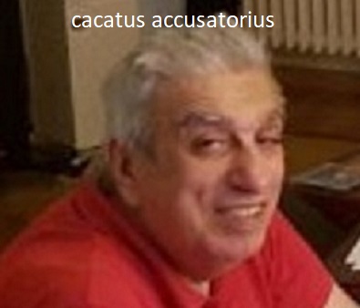 cacatus accusatorius.jpg