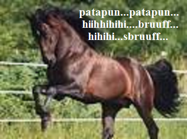 cavallo bruuufff.png